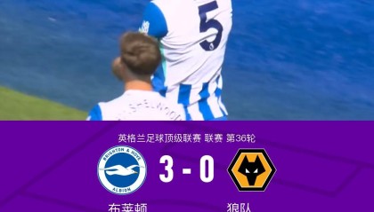 布莱顿3-0狼队，欣谢尔伍德、邓克闪击，明特破门